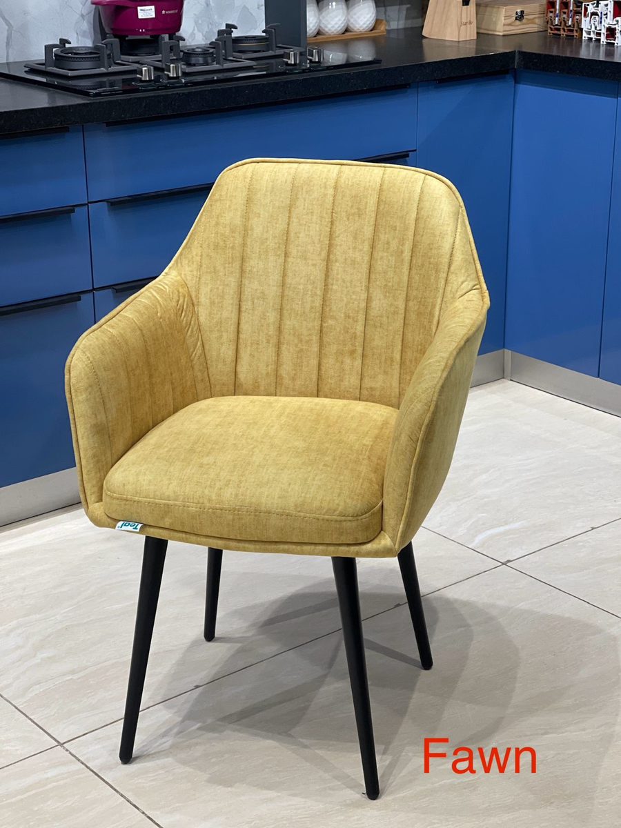 Dining & Cafe Chairs at Kamlesh Furniture Mart Rewa - design 6